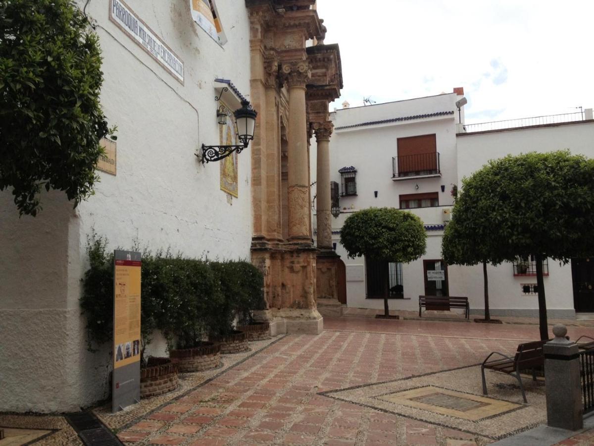 Alamo 6 Lägenhet Marbella Exteriör bild